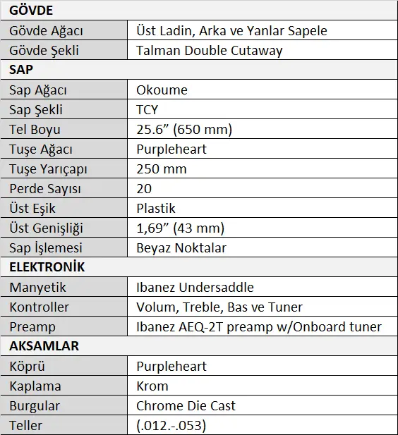 Ibanez TCY10E-BK Talman Serisi Elektro Akustik Gitar Tablo.webp (31 KB)