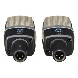 AKG C214 Matched Pair Stereo Geniş Diyaframlı Kardioid Kondenser Mikrofon - 5