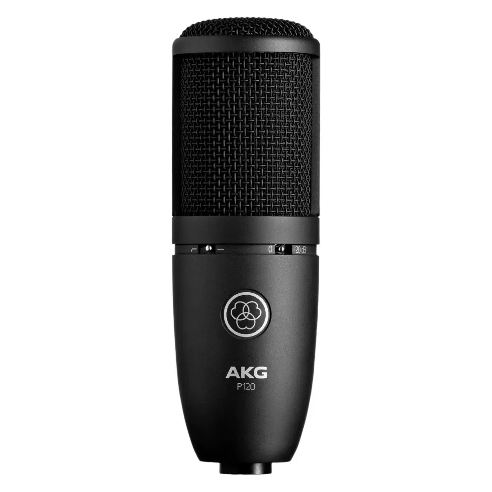 AKG P120 Genel Amaçlı Yüksek Performanslı Kayıt Mikrofonu - 1