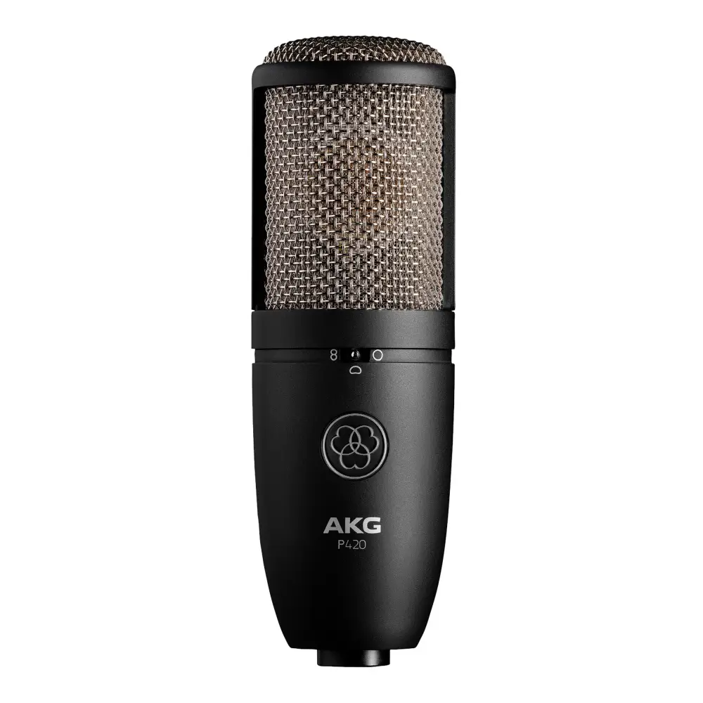 AKG P420 Kondenser Kayıt Mikrofonu - 2