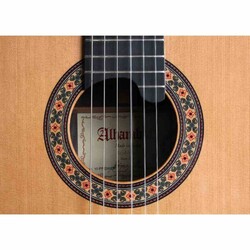 Alhambra 10 Premier Klasik Gitar + Hardcase'li - Thumbnail