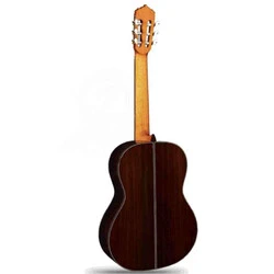 Alhambra Linea Professional Klasik Gitar + Hard Case - 2