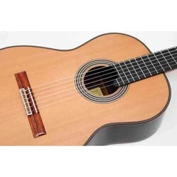 Alhambra Linea Professional Klasik Gitar + Hard Case - 4