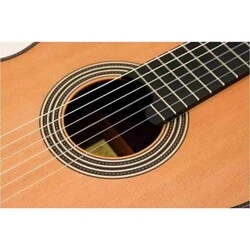 Alhambra Linea Professional Klasik Gitar + Hard Case - 5