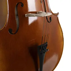 ANTON BRUCKNER C.MAESTRO XII Çello - 4
