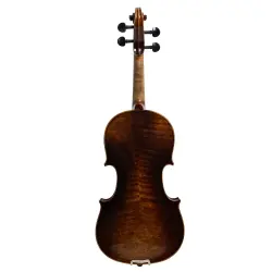 ANTON BRUCKNER MAESTRO VI Keman (Pirastro Telli - Yay ve Taşıma Çantası Dahil) - 2
