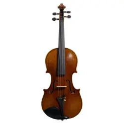 Anton Bruckner Maestro VI Premium Keman Pirastro Telli - Anton Bruckner