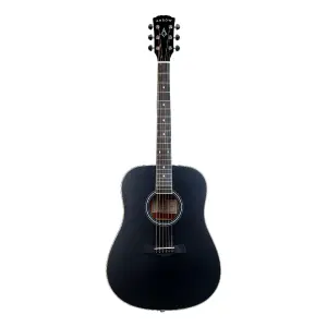 Arrow Silver Dreadnought Akustik Gitar (Siyah) - 1