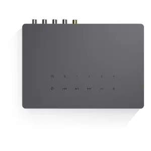 Audio Pro Link 2 Müzik Streamer ve Multiroom Oynatıcı - 4