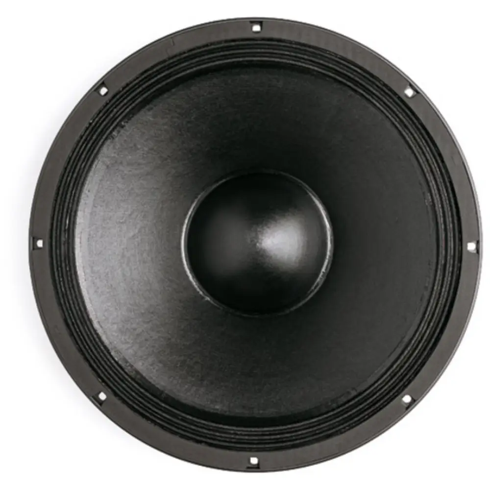 B&C Speakers 15 PL100 15'' 1400W max Çıplak Bass Hoparlör - 2