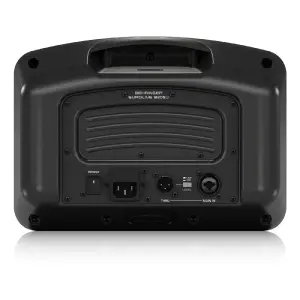 Behringer Eurolive B205D 150W 5.25 inch Powered Monitor Speaker - 4