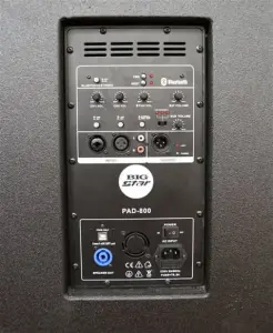 Bigstar PAD-800 600W Taşınabilir Ses Sistem - 4