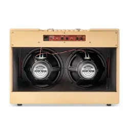 Blackstar Debut 100R 2 x 12