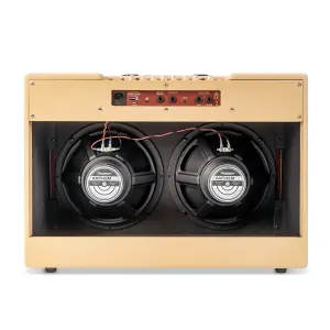 Blackstar Debut 100R 2 x 12