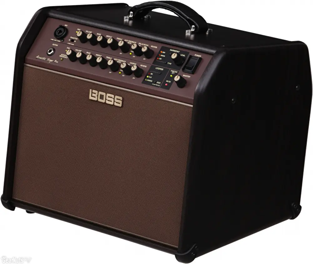 BOSS ACS-PRO Acoustic Singer Pro Amfi - 4