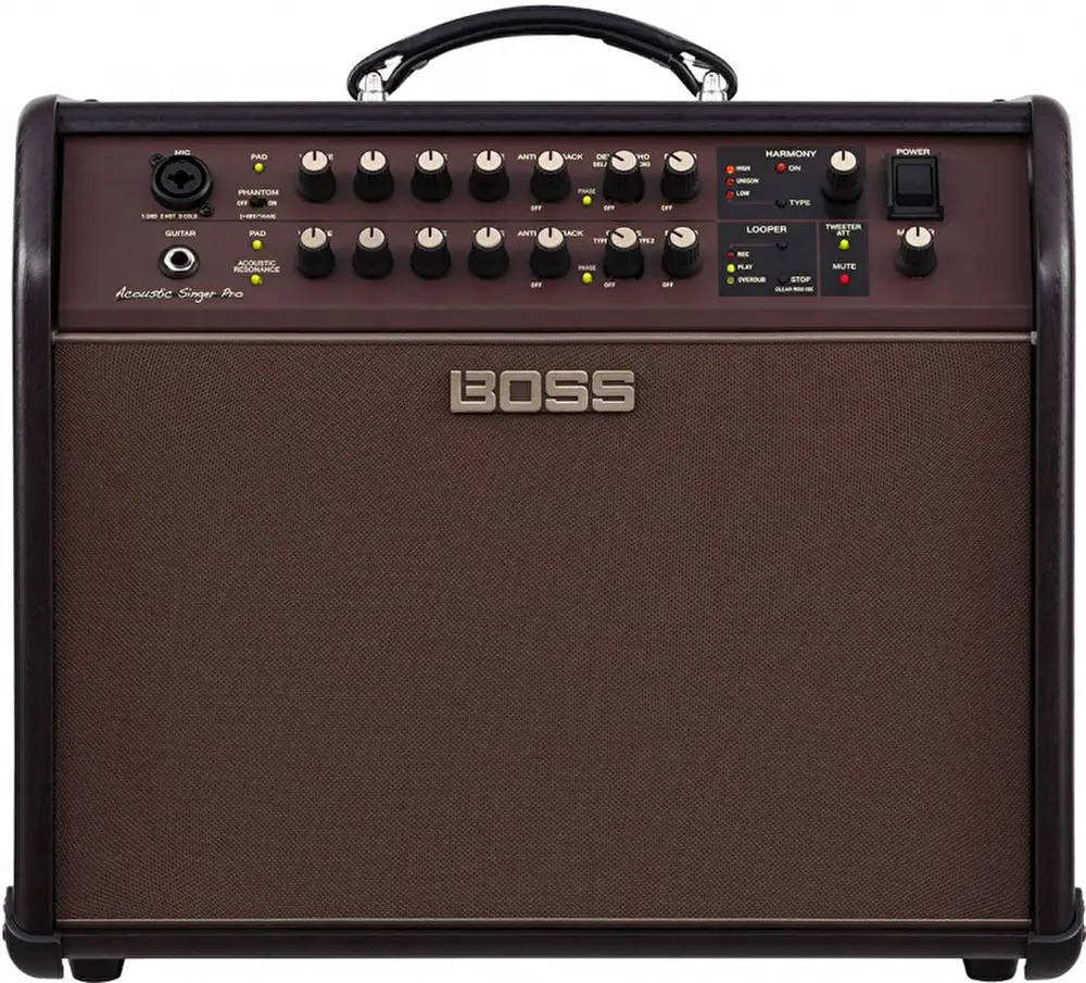 Boss - BOSS ACS-PRO Acoustic Singer Pro Amfi