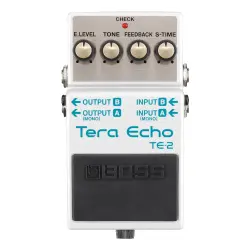BOSS TE-2 Tera Echo Pedalı - 2