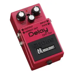 BOSS Waza Craft DM-2W Analog Delay Efekt Pedalı (Bucket-Brigade, Standard / Custom Mod) - 1