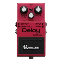 BOSS Waza Craft DM-2W Analog Delay Efekt Pedalı (Bucket-Brigade, Standard / Custom Mod) - 2