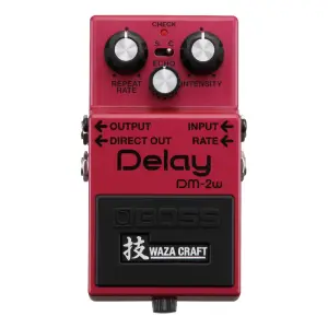 BOSS Waza Craft DM-2W Analog Delay Efekt Pedalı (Bucket-Brigade, Standard / Custom Mod) - 2