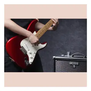 BOSS WL-20 Kablosuz Gitar Sistemi (Pasif Manyetikli Elektro Gitarlar İçin) - 5