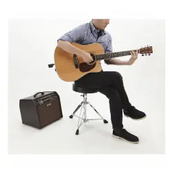 BOSS WL-20L Gitar ve Line Seviye Cihazlar için Kablosuz Sistem - 4