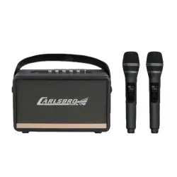Carlsbro EW CK30-DM Bluetooth Hoparlör (Siyah - 2 Kablosuz Mikrofonlu) - Carlsbro