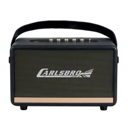 Carlsbro EW CK30-DM Bluetooth Hoparlör (Siyah - 2 Kablosuz Mikrofonlu) - 2