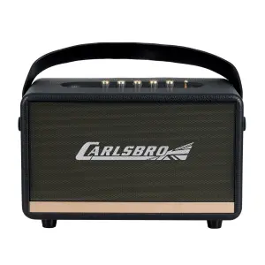 Carlsbro EW CK30-DM Bluetooth Hoparlör (Siyah - 2 Kablosuz Mikrofonlu) - 2