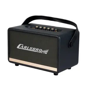 Carlsbro EW CK30-DM Bluetooth Hoparlör (Siyah - 2 Kablosuz Mikrofonlu) - 3