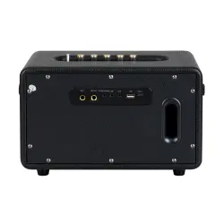 Carlsbro EW CK30-DM Bluetooth Hoparlör (Siyah - 2 Kablosuz Mikrofonlu) - 4