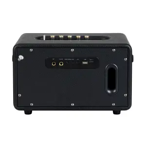 Carlsbro EW CK30-DM Bluetooth Hoparlör (Siyah - 2 Kablosuz Mikrofonlu) - 4