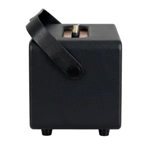 Carlsbro EW CK30-DM Bluetooth Hoparlör (Siyah - 2 Kablosuz Mikrofonlu) - 5