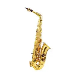Conductor M2105a Mib Alto Saksafon - Conductor