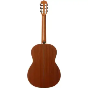Cordoba C9 Crossover Series Kanada Sedir Klasik Gitar (Natural) - 2