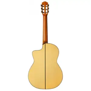 Cordoba GK Pro Klasik Gitar - 2