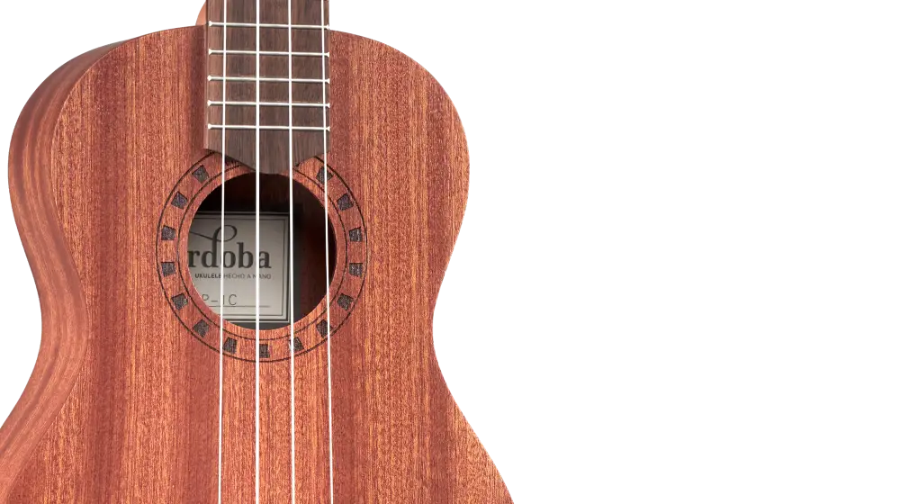 Cordoba Ukulele Player Pack Concert Ukulele Seti (Natural) - 5