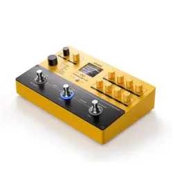 Donner APL Multi Efekt Pedal - 5