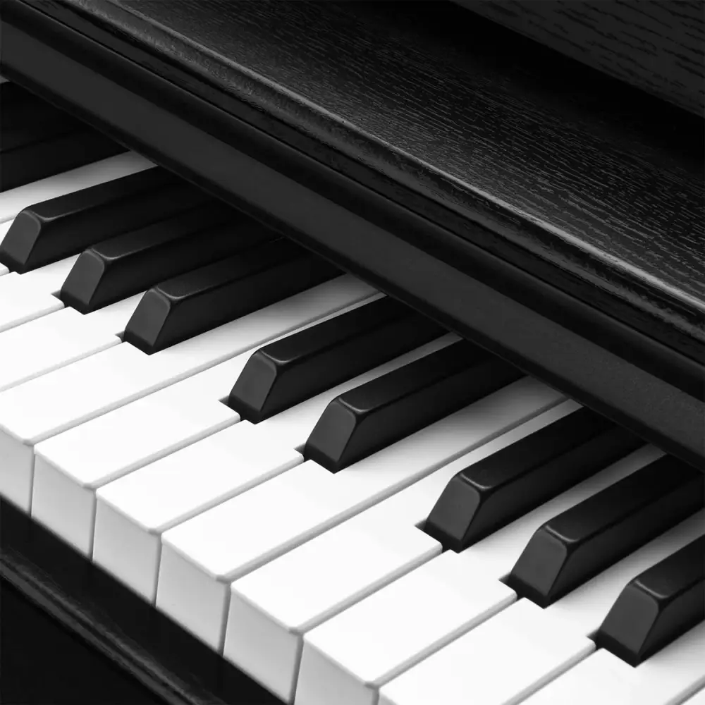 Donner DDP-100 Dijital Piyano Siyah (Tabure Hediyeli) - 4