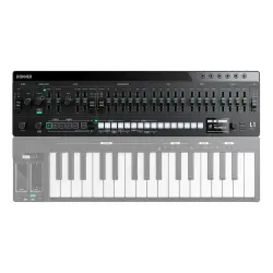 Donner Essential L1 Monofonik Analog Synthesizer - 2