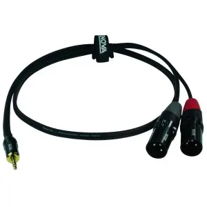 ENOVA 3 m 3.5 mm Erkek - Erkek XLR x2 Kablo EC-A3-PSMXLM-3 - 2
