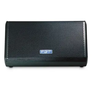 FBT MITUS 210M Pasif Sahne Monitörü - 1