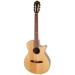 IBANEZ AEG50N-NT Elektro Klasik Gitar - Ibanez