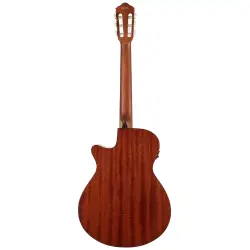 IBANEZ AEG50N-NT Elektro Klasik Gitar - 2
