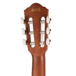 IBANEZ AEG50N-NT Elektro Klasik Gitar - 5