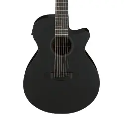 Ibanez AEG721-BOT 7 Telli Elektro Akustik Gitar - 3