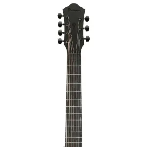 Ibanez AEG721-BOT 7 Telli Elektro Akustik Gitar - 4