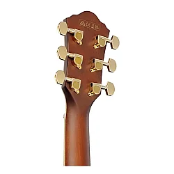 Ibanez AEWC12-PMF Elektro Akustik Gitar - 5