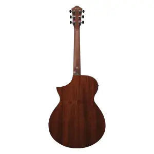 Ibanez AEWC12-RGF Elektro Akustik Gitar - 2