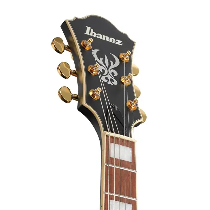 Ibanez AF75G-BKF Artcore Serisi Hollow-Body Elektro Gitar - 4